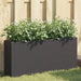 Plantekasser med 2 potter 2 stk svart 90x20x40 cm polyrotting