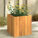 Plantekasse 25x25x25 cm helte akasie