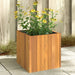 Plantekasse 35x35x35 cm helte akasie