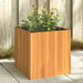 Plantekasse 45x45x45 cm helte akasie