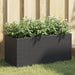 Plantekasse med 2 potter svart 72x30x32 cm polyrotting