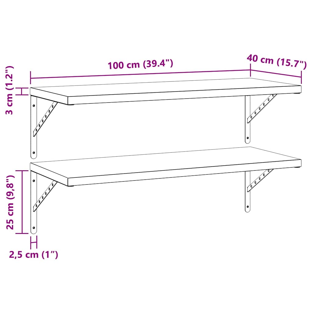 Vegghyller 2 stk 100x40 cm svart rustfritt stål