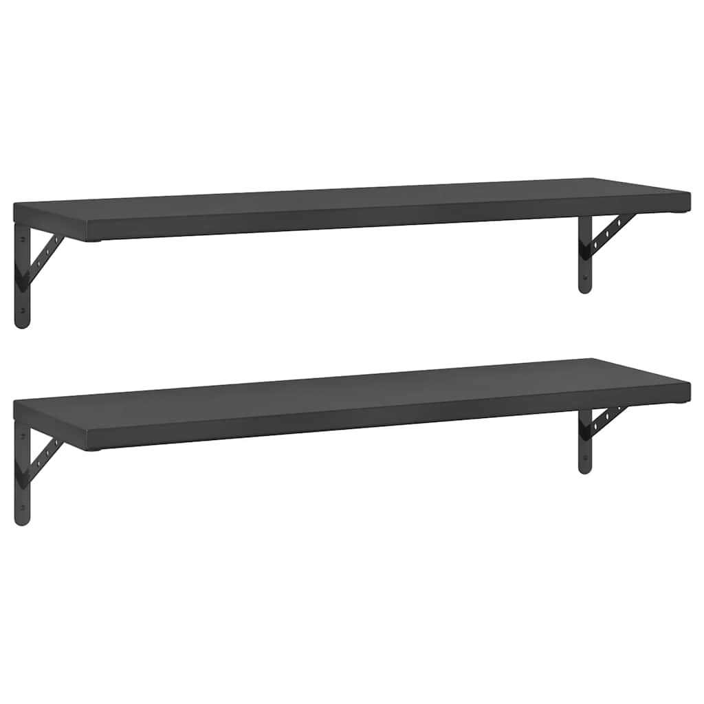 Vegghyller 2 stk 100x30 cm svart rustfritt stål