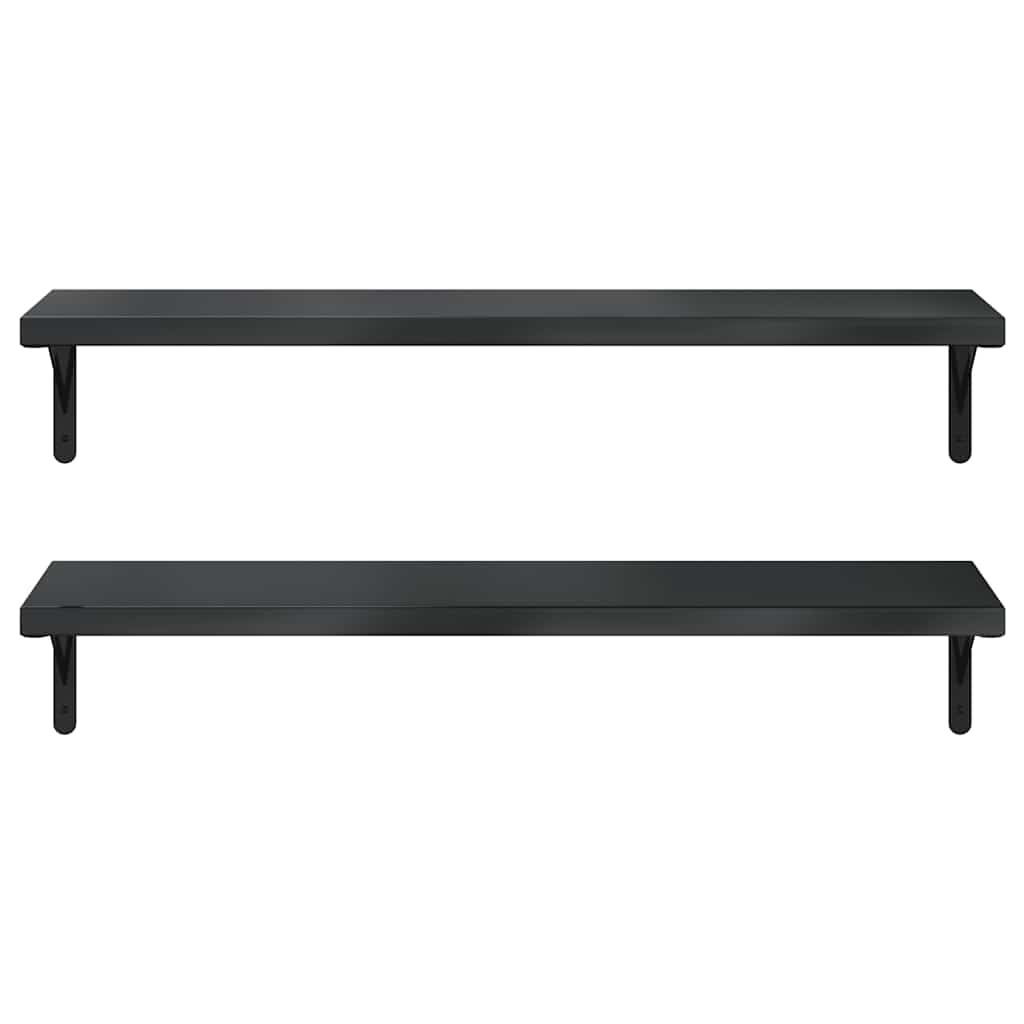 Vegghyller 2 stk 100x30 cm svart rustfritt stål