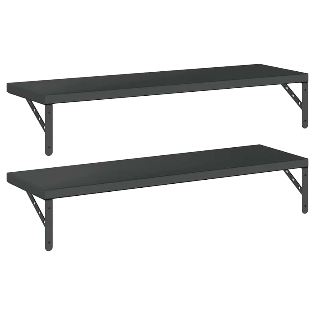 Vegghyller 2 stk 100x30 cm svart rustfritt stål