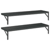 Vegghyller 2 stk 100x30 cm svart rustfritt stål