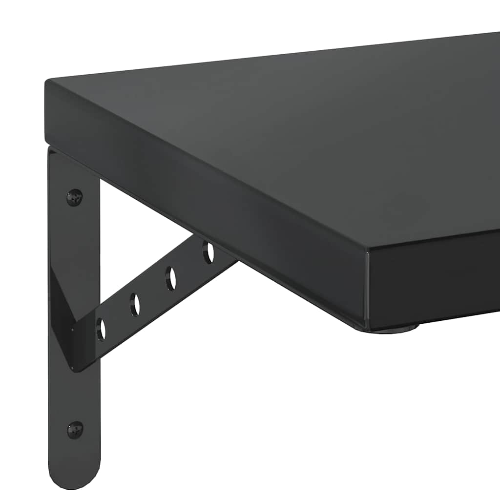Vegghyller 2 stk 100x30 cm svart rustfritt stål