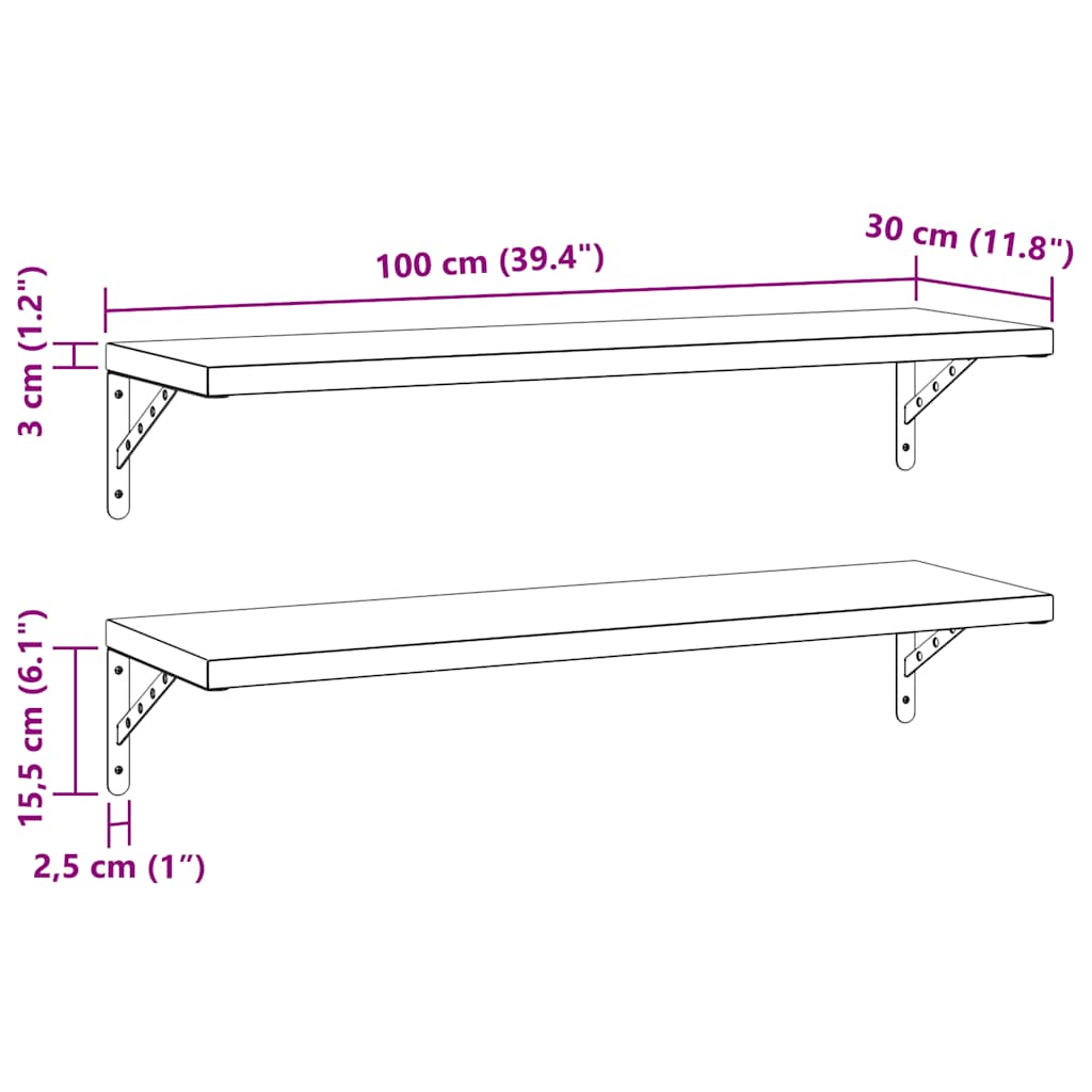 Vegghyller 2 stk 100x30 cm svart rustfritt stål