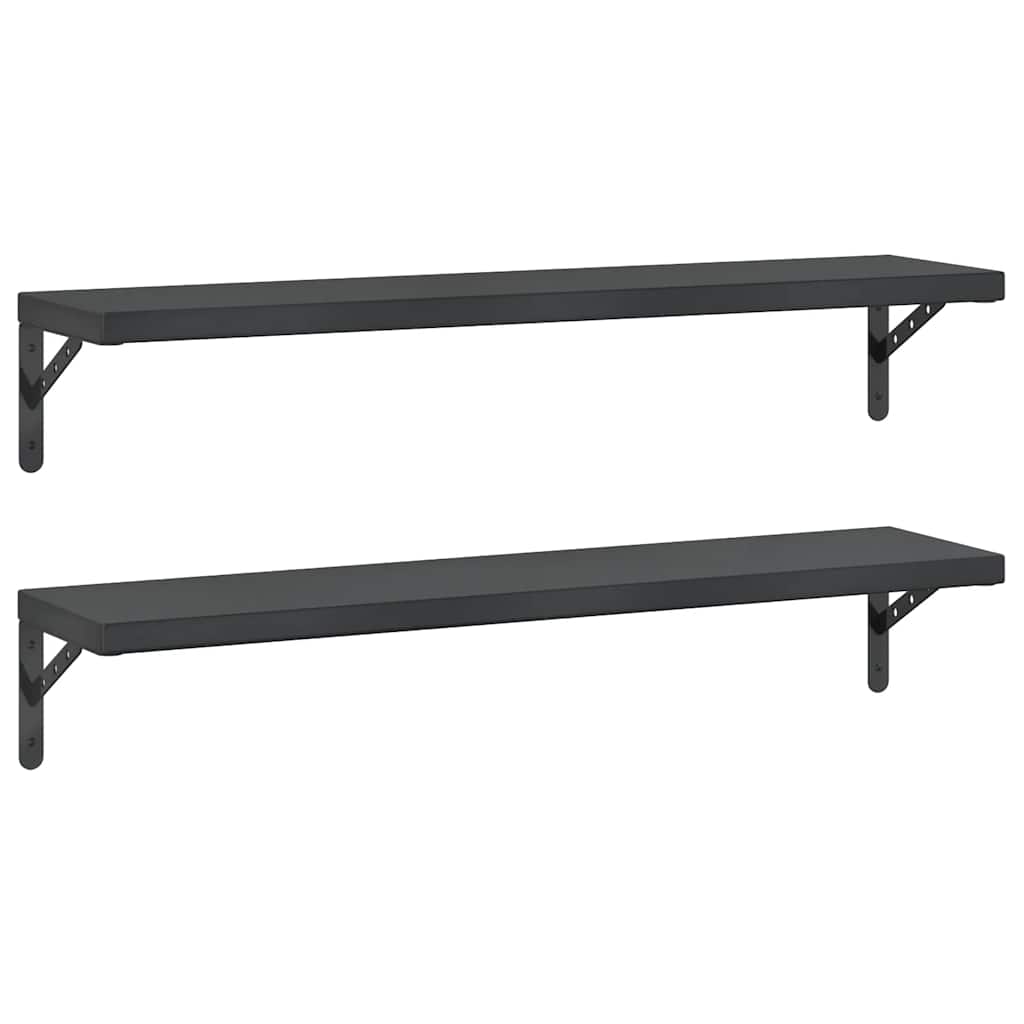 Vegghyller 2 stk 100x23,5 cm svart rustfritt stål