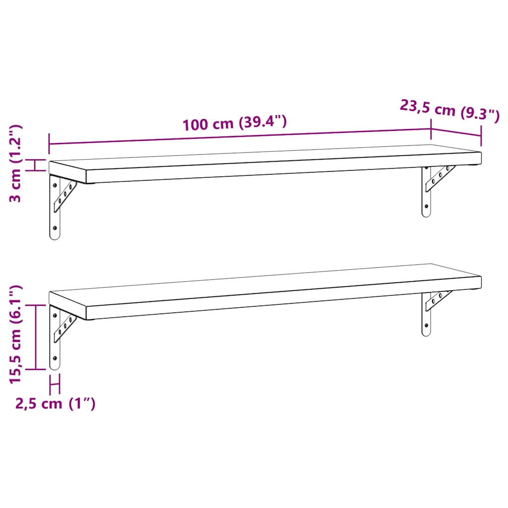 Vegghyller 2 stk 100x23,5 cm svart rustfritt stål