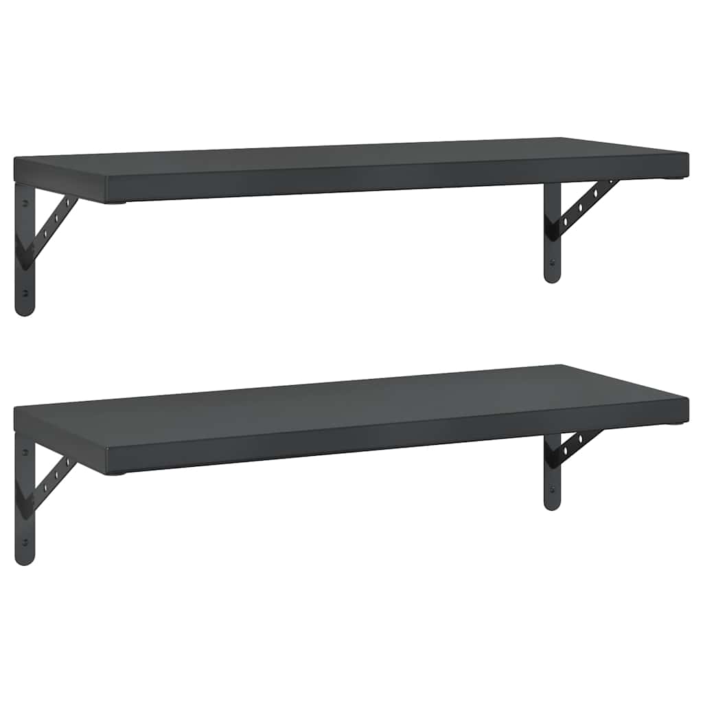 Vegghyller 2 stk 75x30 cm svart rustfritt stål