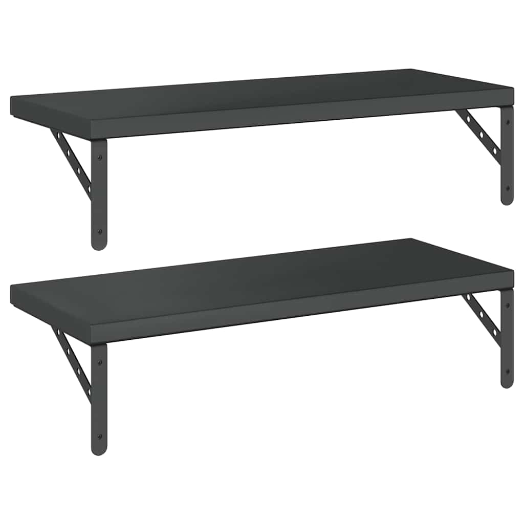 Vegghyller 2 stk 75x30 cm svart rustfritt stål
