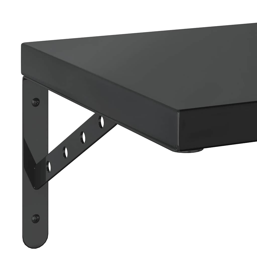 Vegghyller 2 stk 75x30 cm svart rustfritt stål