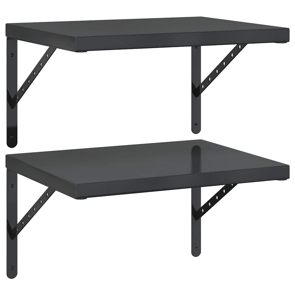 Vegghyller 2 stk 50x40 cm svart rustfritt stål