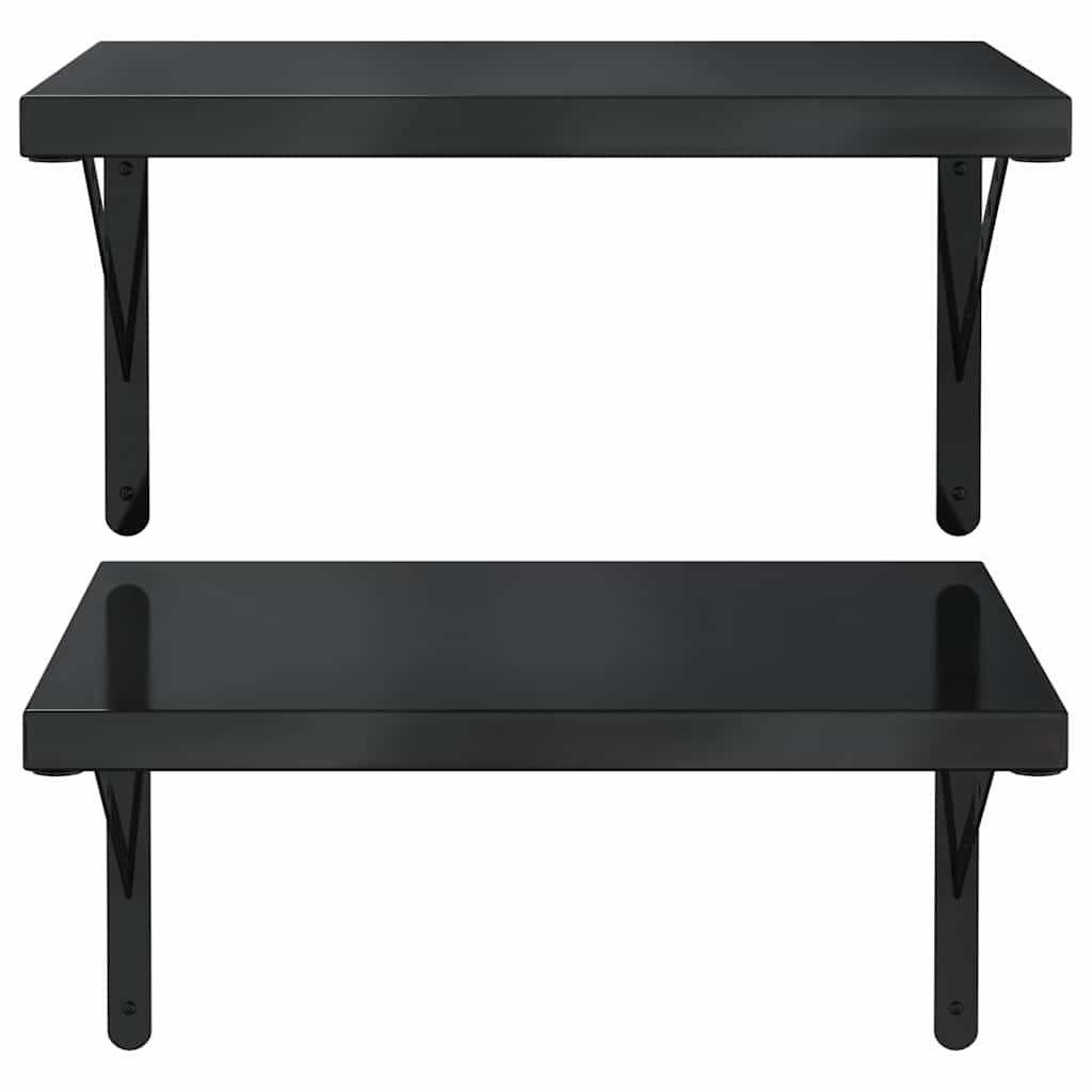 Vegghyller 2 stk 50x40 cm svart rustfritt stål