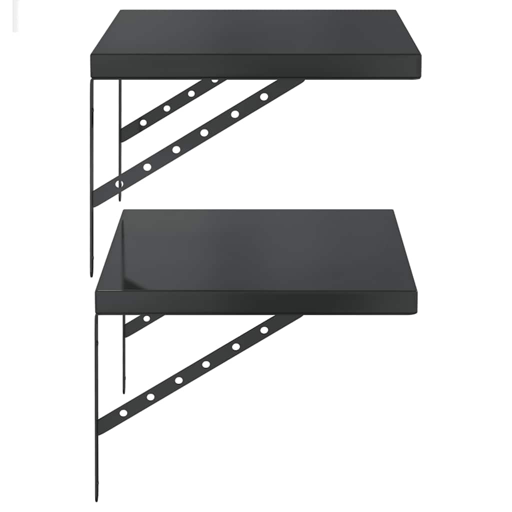 Vegghyller 2 stk 50x40 cm svart rustfritt stål