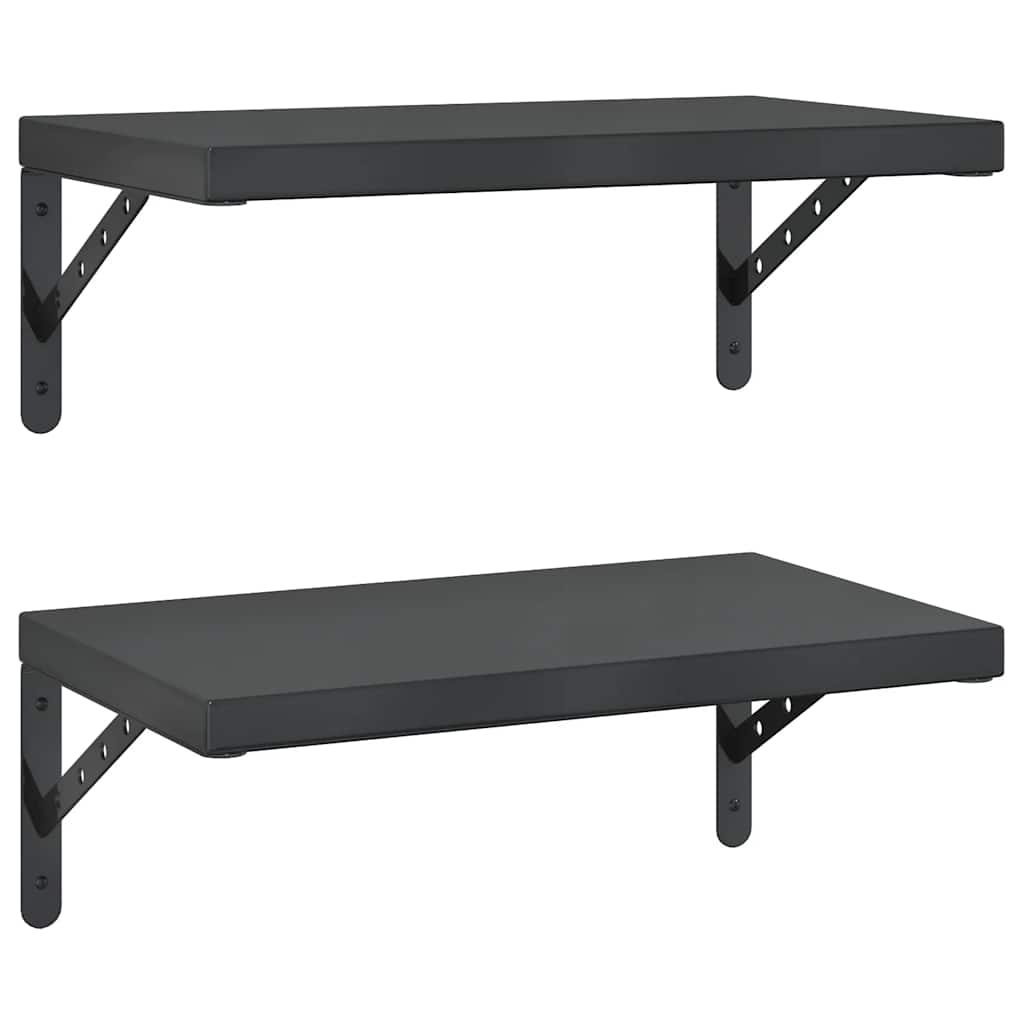 Vegghyller 2 stk 50x30 cm svart rustfritt stål