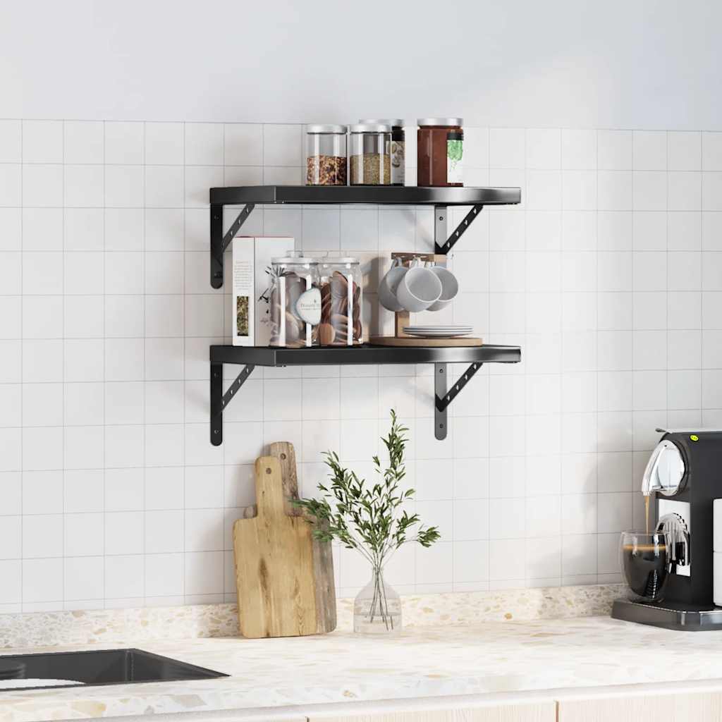 Vegghyller 2 stk 50x30 cm svart rustfritt stål