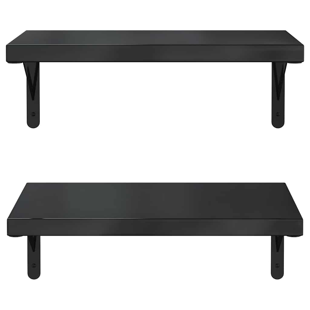 Vegghyller 2 stk 50x30 cm svart rustfritt stål