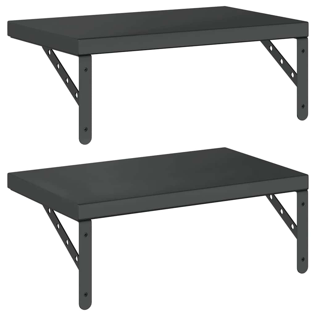 Vegghyller 2 stk 50x30 cm svart rustfritt stål