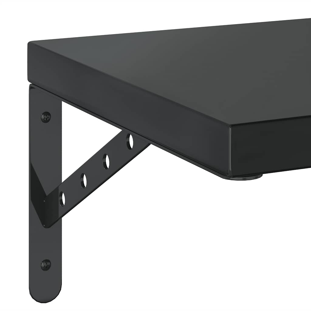 Vegghyller 2 stk 50x30 cm svart rustfritt stål