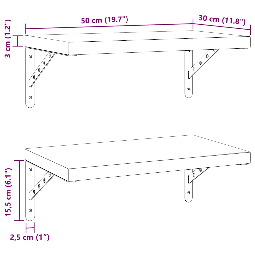 Vegghyller 2 stk 50x30 cm svart rustfritt stål