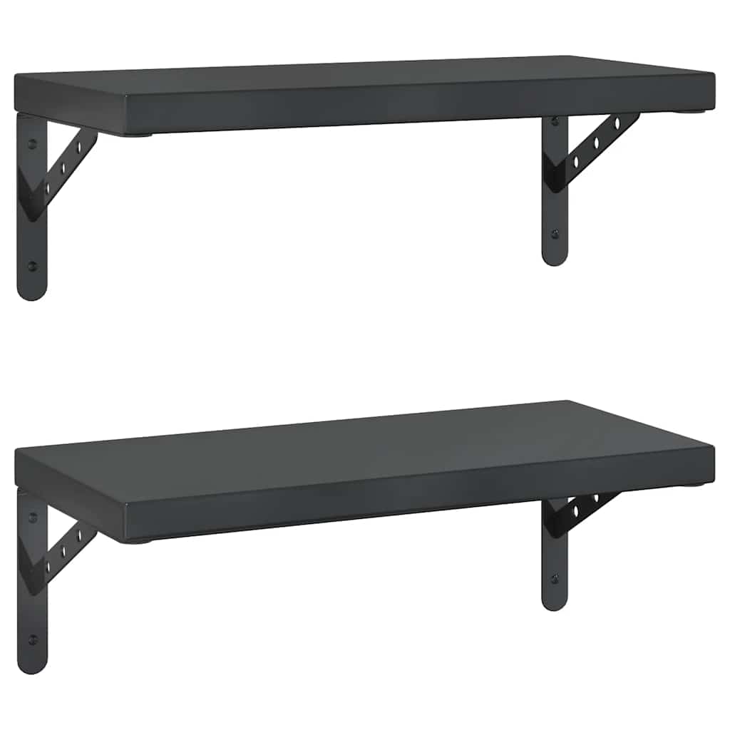 Vegghyller 2 stk 50x23,5 cm svart rustfritt stål