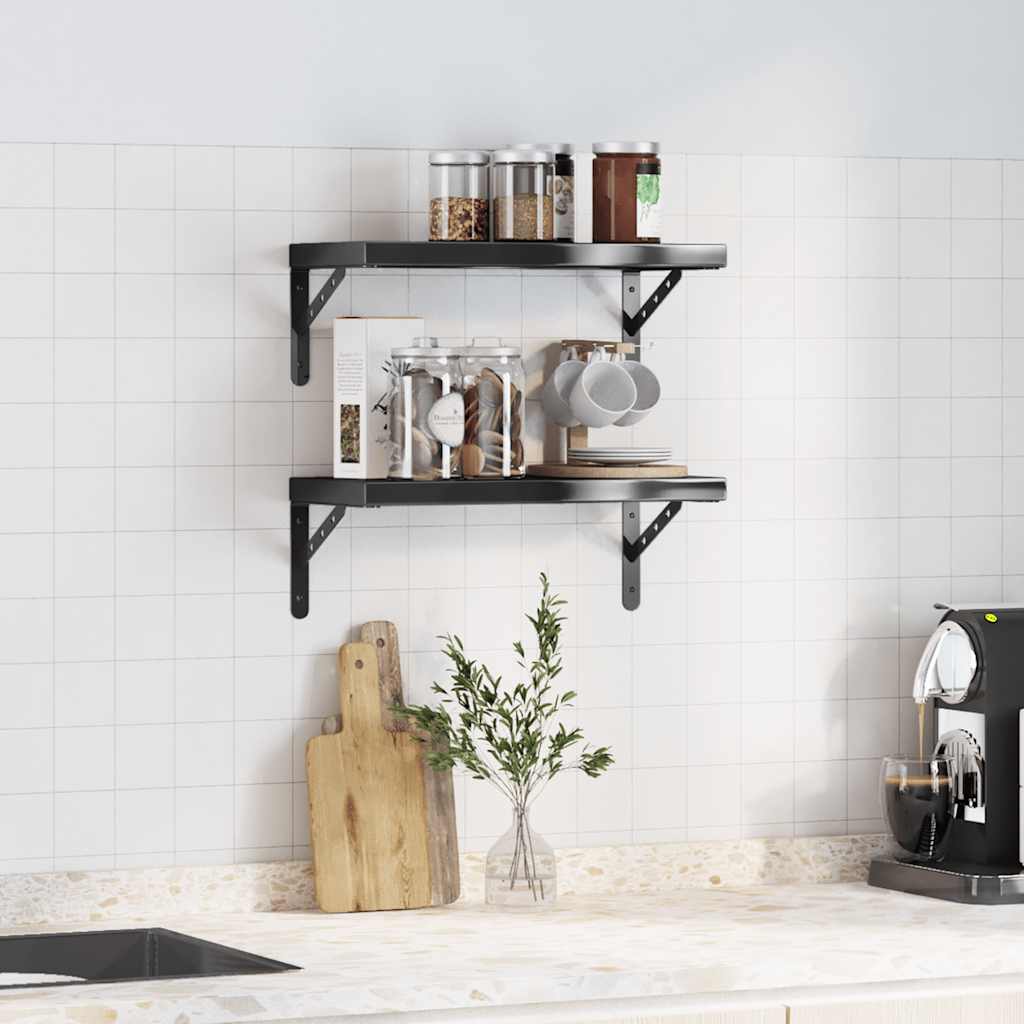 Vegghyller 2 stk 50x23,5 cm svart rustfritt stål