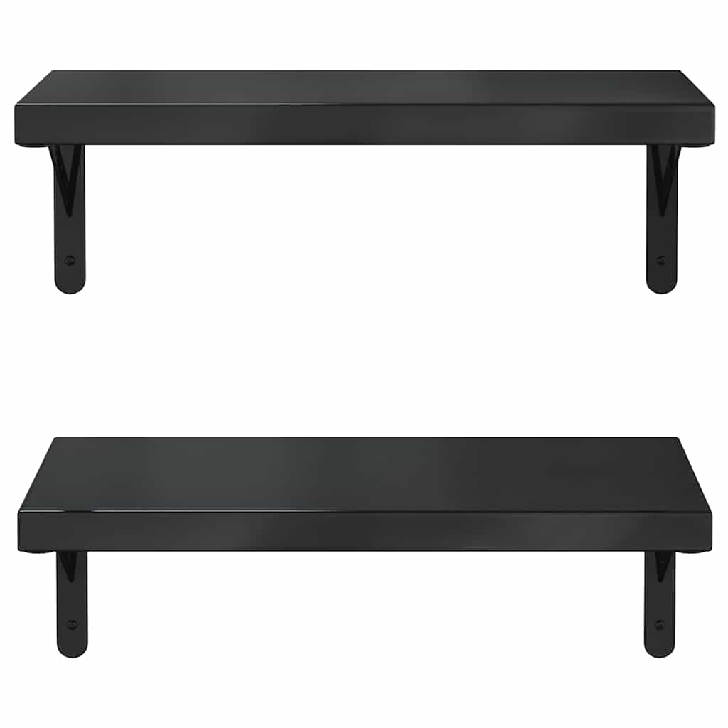 Vegghyller 2 stk 50x23,5 cm svart rustfritt stål