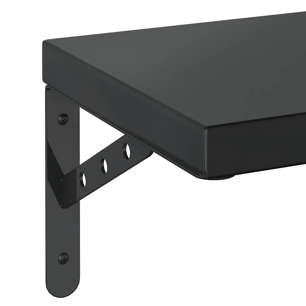 Vegghyller 2 stk 50x23,5 cm svart rustfritt stål