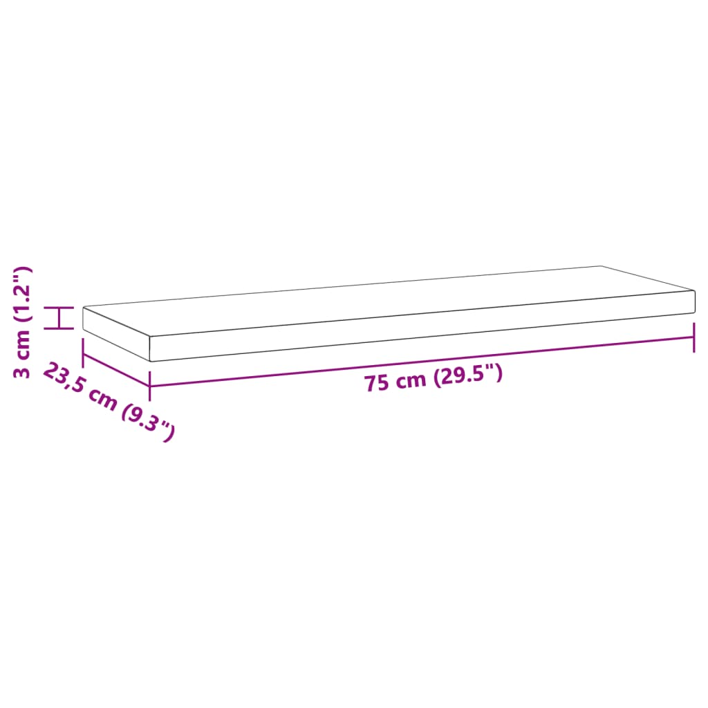 Vegghyller 2 stk 75x23,5x3 cm svart rustfritt stål