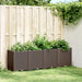 Plantekasse brun 160x40x53 cm PP