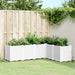 Plantekasse hvit 160x120x53 cm PP