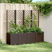Plantekasse med espalier brun 160x40x140 cm PP