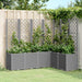 Plantekasse med espalier lysegrå 160x120x140 cm PP