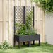 Plantekasse med espalier svart 80x40x142 cm PP