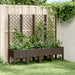 Plantekasse med espalier brun 160x40x142 cm PP