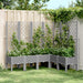 Plantekasse med espalier lysegrå 160x120x142 cm PP