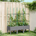 Plantekasse med espalier lysegrå 120x40x142,5 cm PP