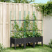 Plantekasse med espalier svart 120x40x142,5 cm PP