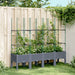 Plantekasse med espalier blågrå 160x40x142,5 cm PP