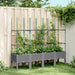 Plantekasse med espalier lysegrå 160x40x142,5 cm PP