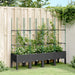 Plantekasse med espalier svart 160x40x142,5 cm PP