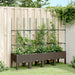 Plantekasse med espalier brun 160x40x142,5 cm PP