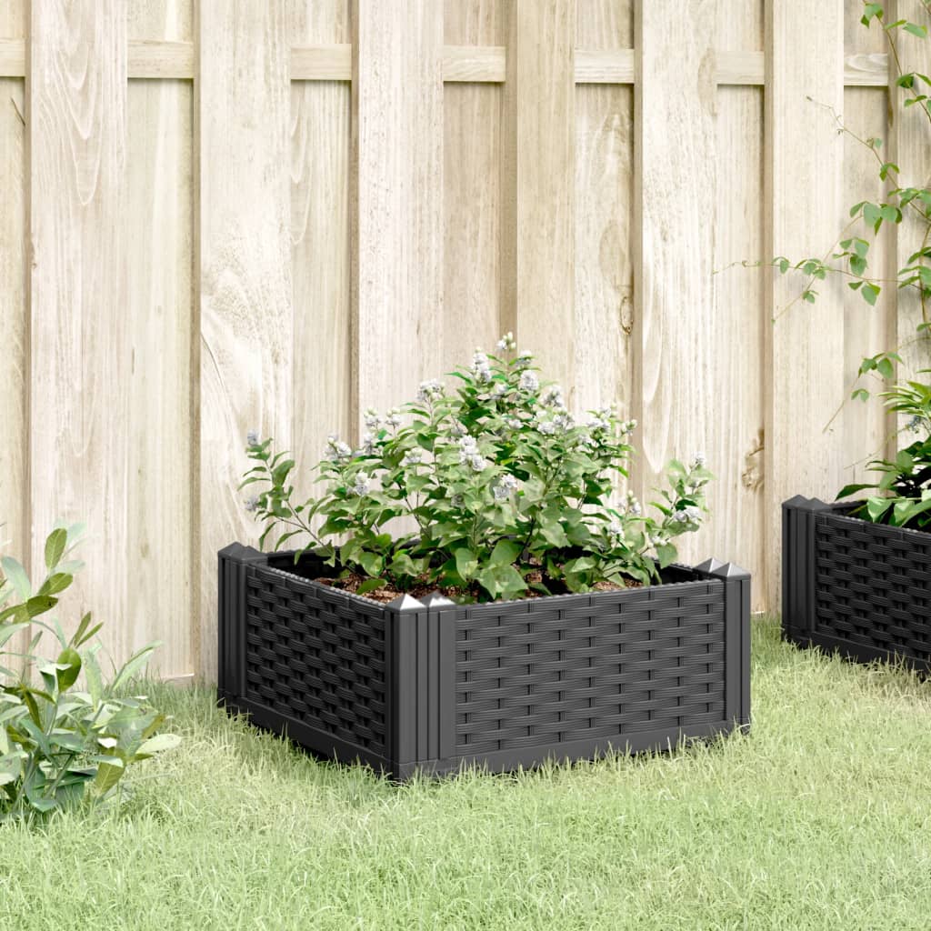Plantekasse med plugger svart 42,5x42,5x28,5 cm PP