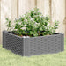 Plantekasse med plugger lysegrå 42,5x42,5x28,5 cm PP