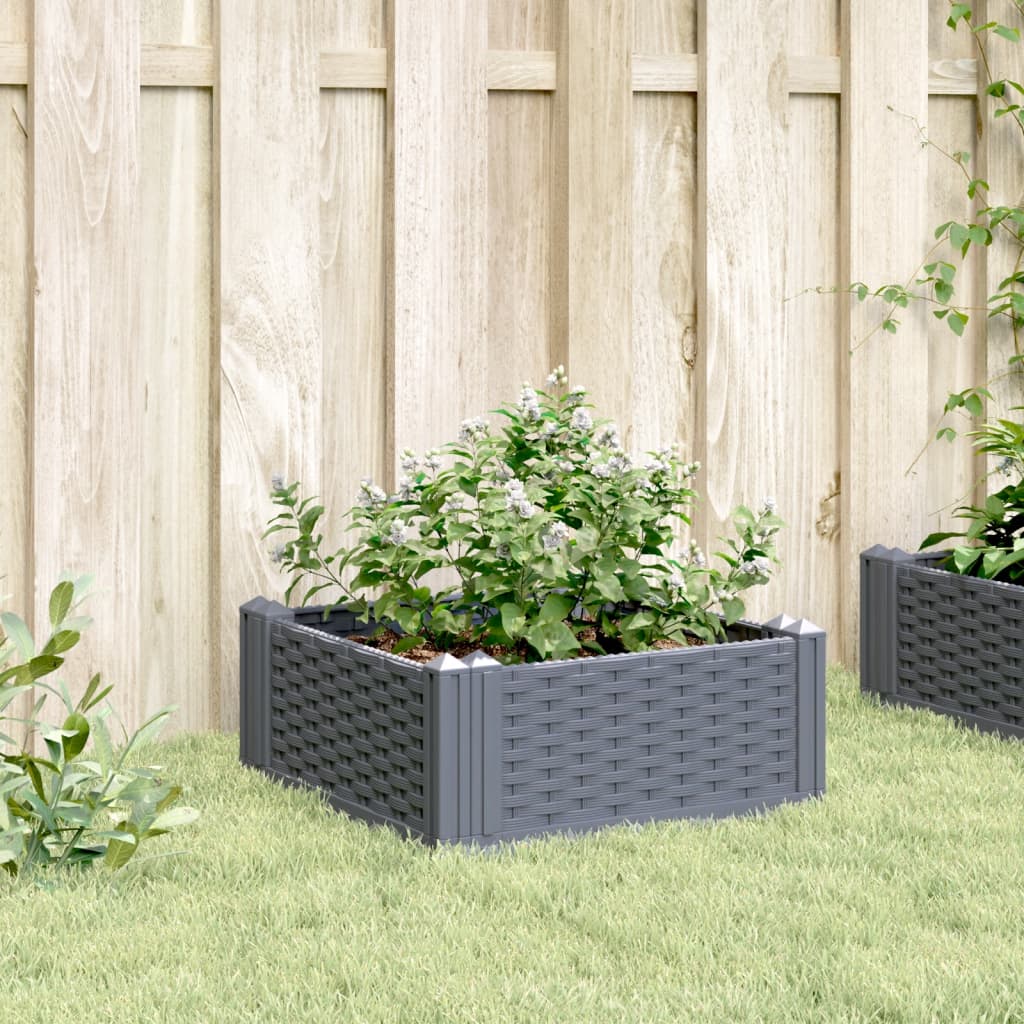 Plantekasse med plugger blågrå 42,5x42,5x28,5 cm PP
