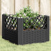 Plantekasse med plugger svart 43,5x43,5x43,5 cm PP
