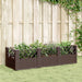 Plantekasse med plugger brun 123,5x43,5x43,5 cm PP