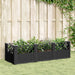 Plantekasse med plugger svart 123,5x43,5x43,5 cm PP
